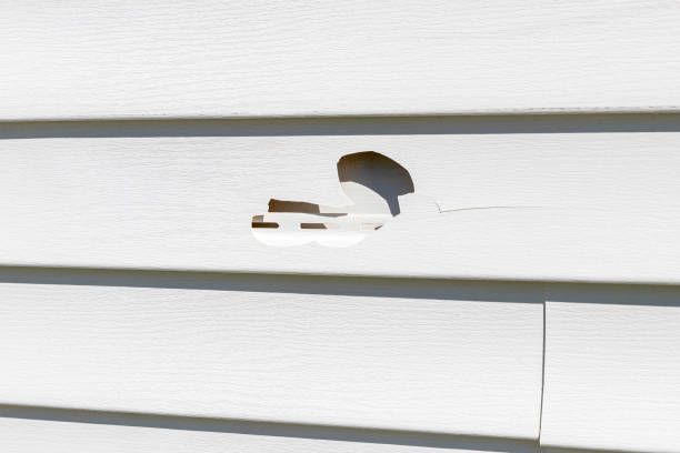 Best Siding Repair  in Belleville, WI